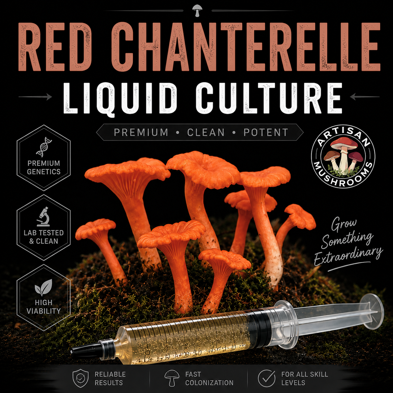 Red Chanterelle