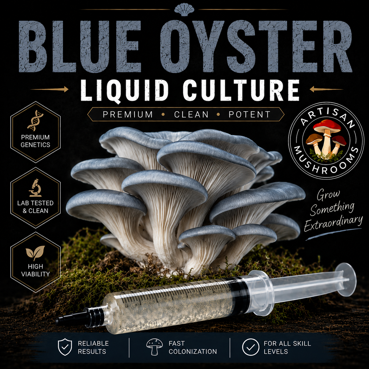 Blue Oyster