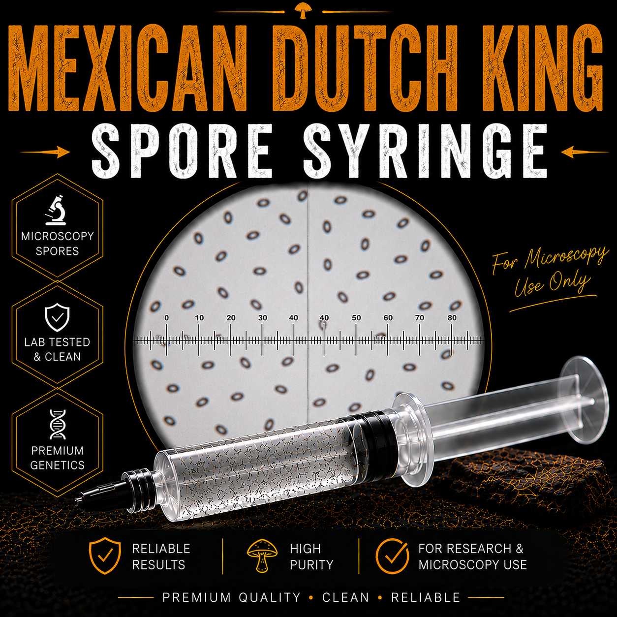Mexican dutch king cubensis spore syringe.png