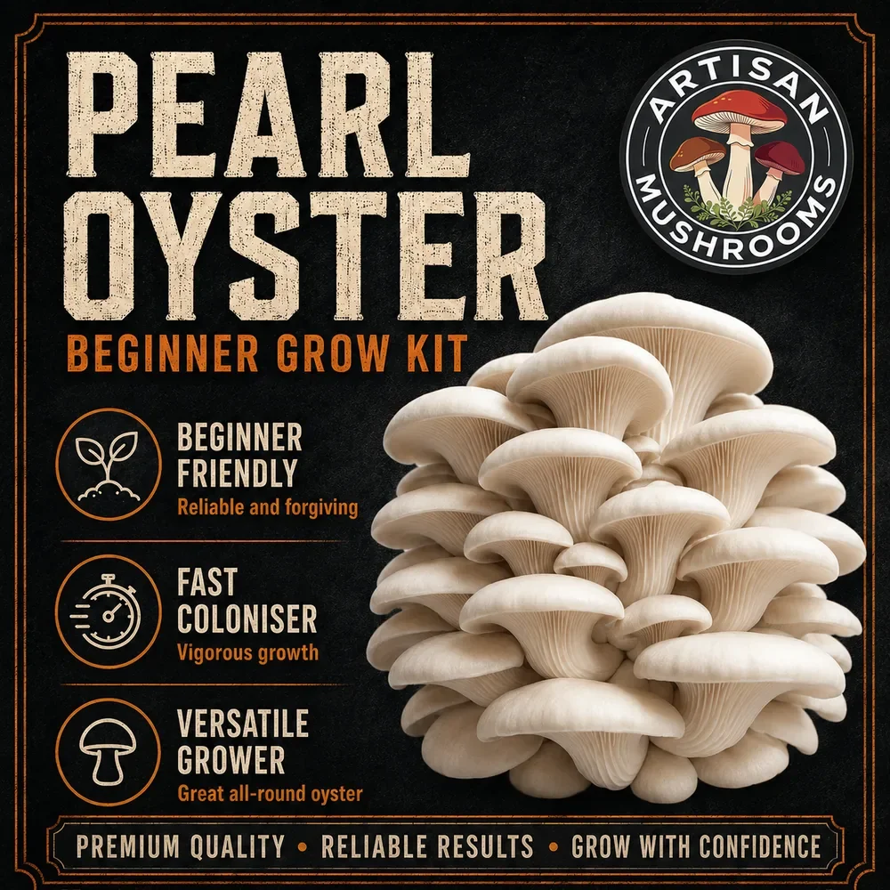 Alt text: Pearl Oyster mushrooms available with the Artisan Mushrooms Beginner Mushroom Grow Kit