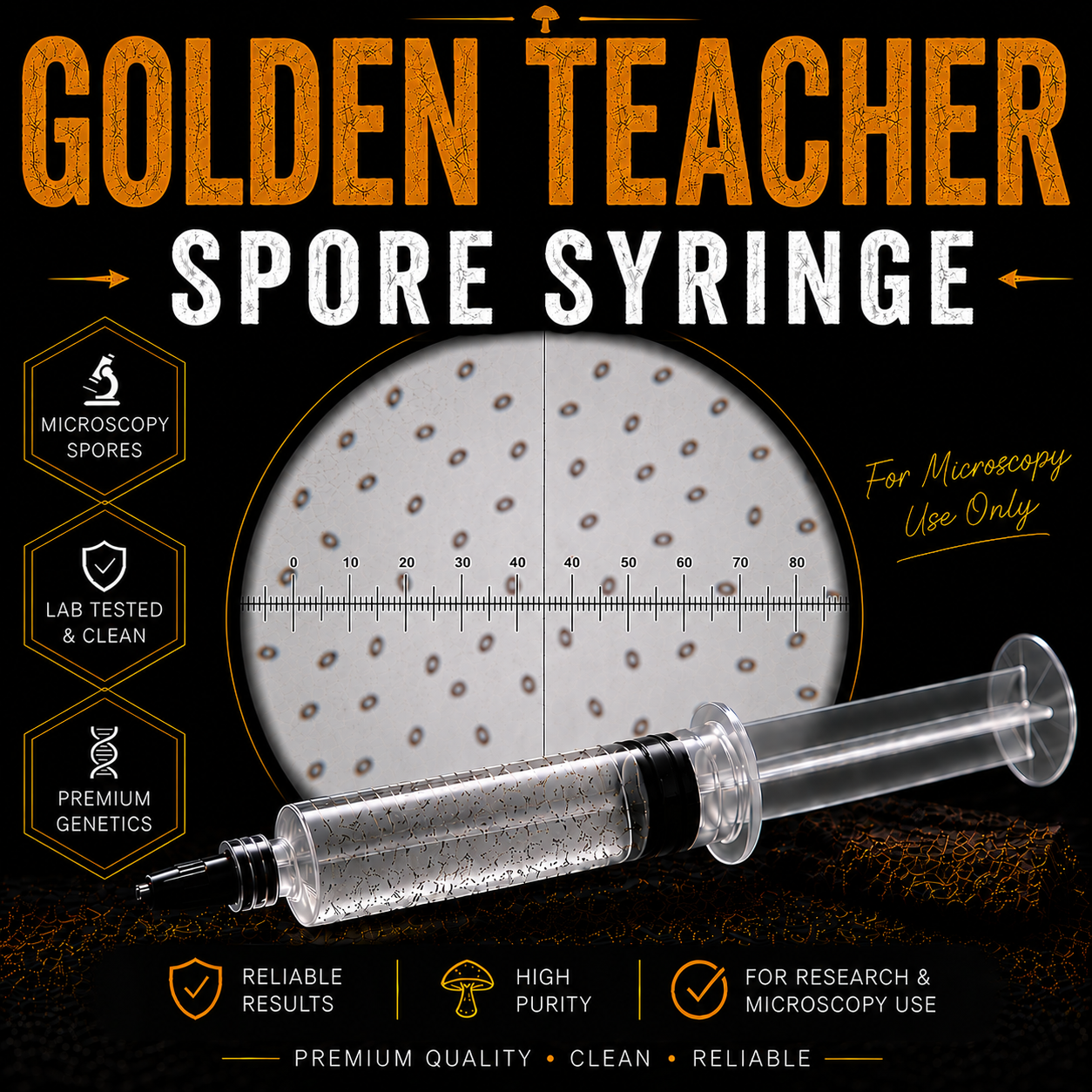 Golden Teacher Cubensis Spores