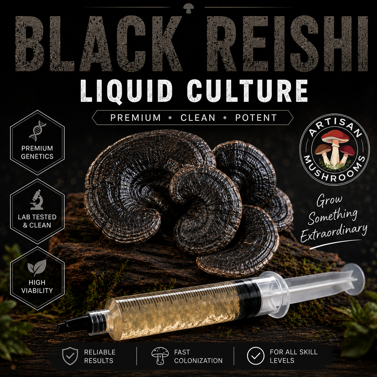 Black Reishi