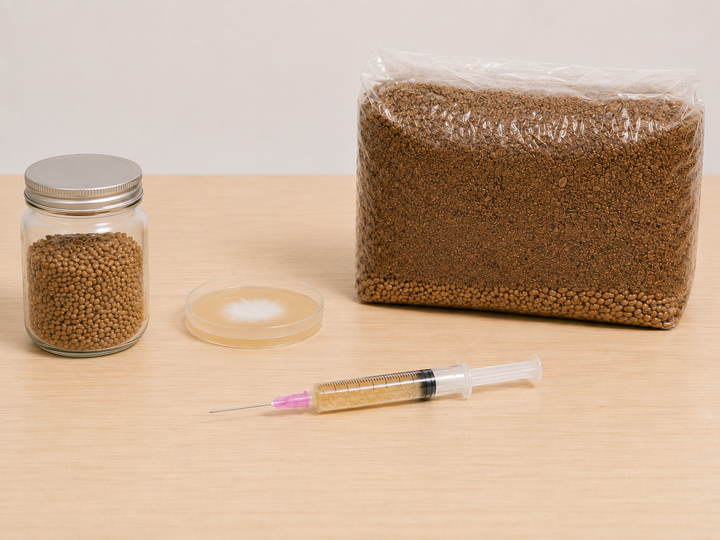 Mushroom liquid culture syringe beside an agar plate, sealed glass grain jar and all-in-one grow bag for dosage comparison