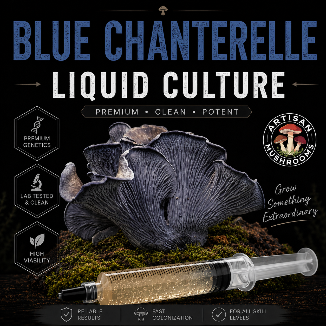 Blue Chanterelle mushroom liquid culture syringe with active Polyozellus multiplex mycelium