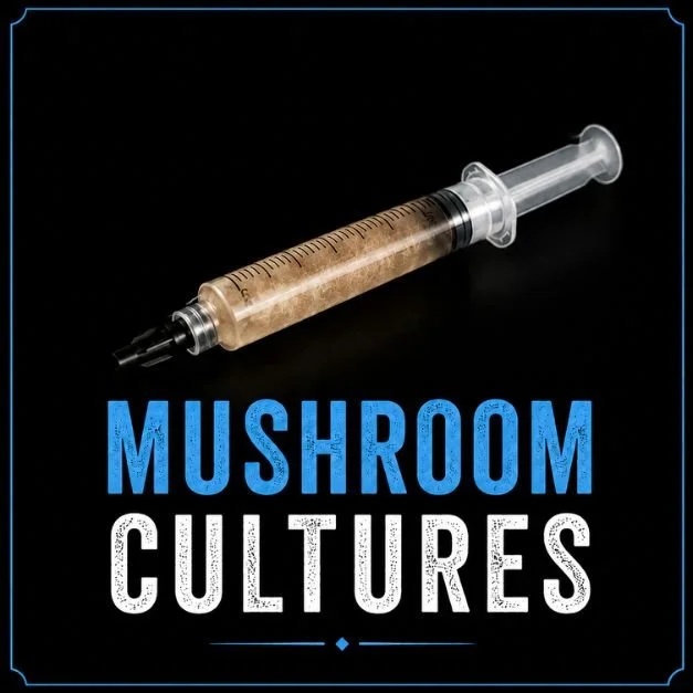 Premium mushroom liquid cultures for growing gourmet and medicinal mushrooms.