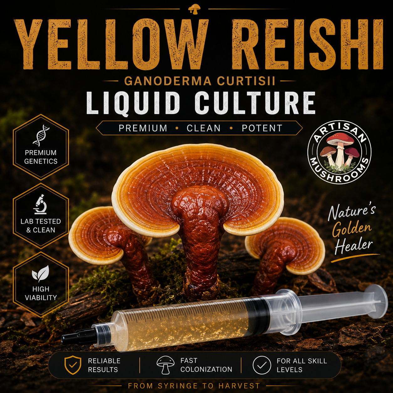 Yellow Reishi