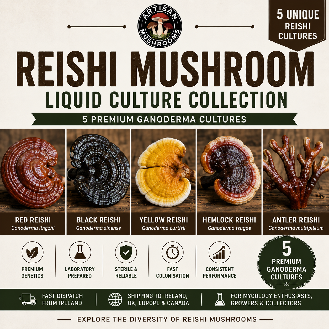 Reishi Mushroom Liquid Culture Collection | 5 Unique Ganoderma Cultures