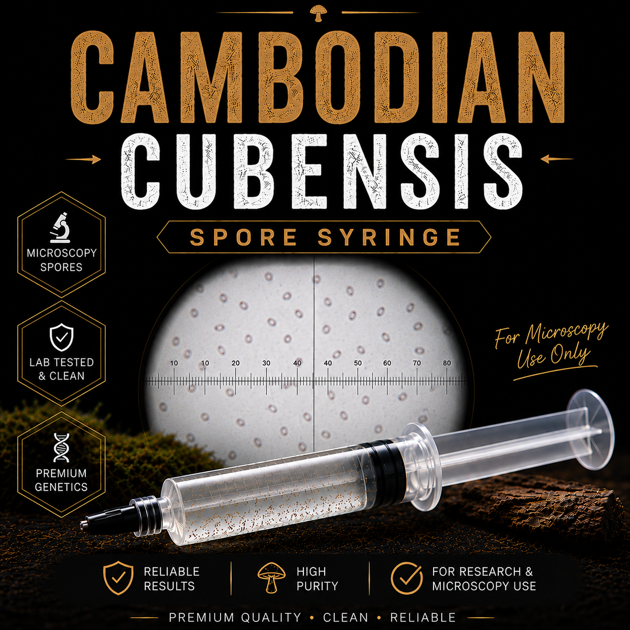 Cambodian Cubensis Spore Syringe
