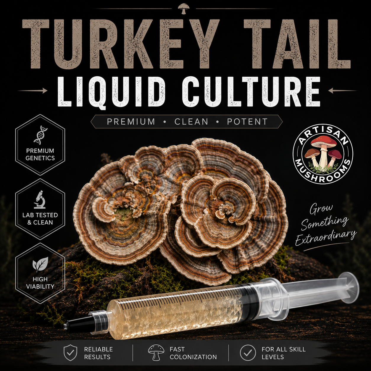 Turkey Tail