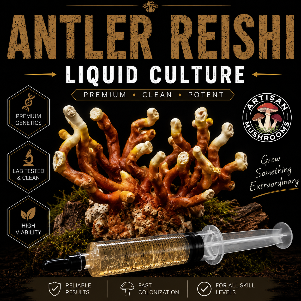 Antler Reishi
