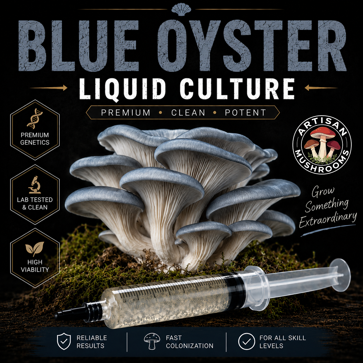 blue-oyster-mushroom-growing-guide