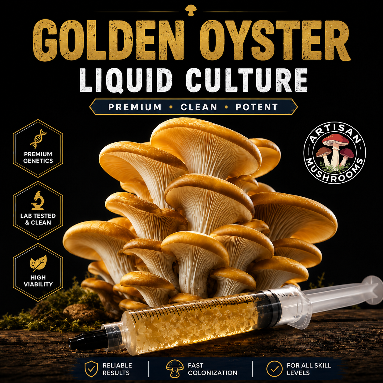 Golden Oyster