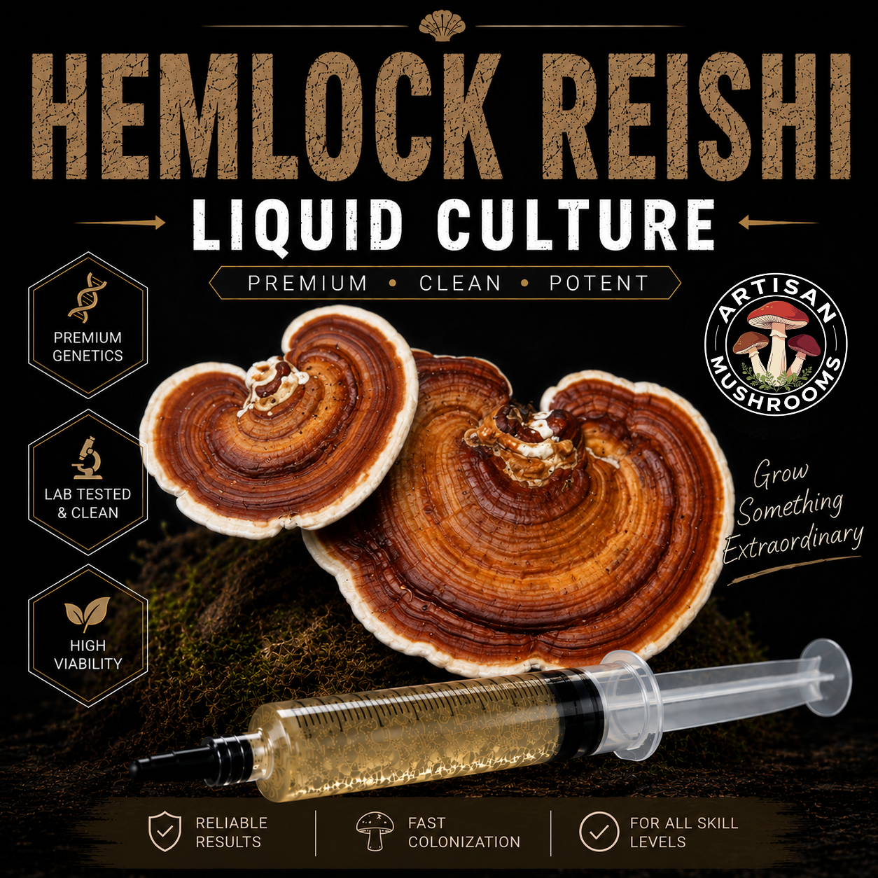 Hemlock Reishi