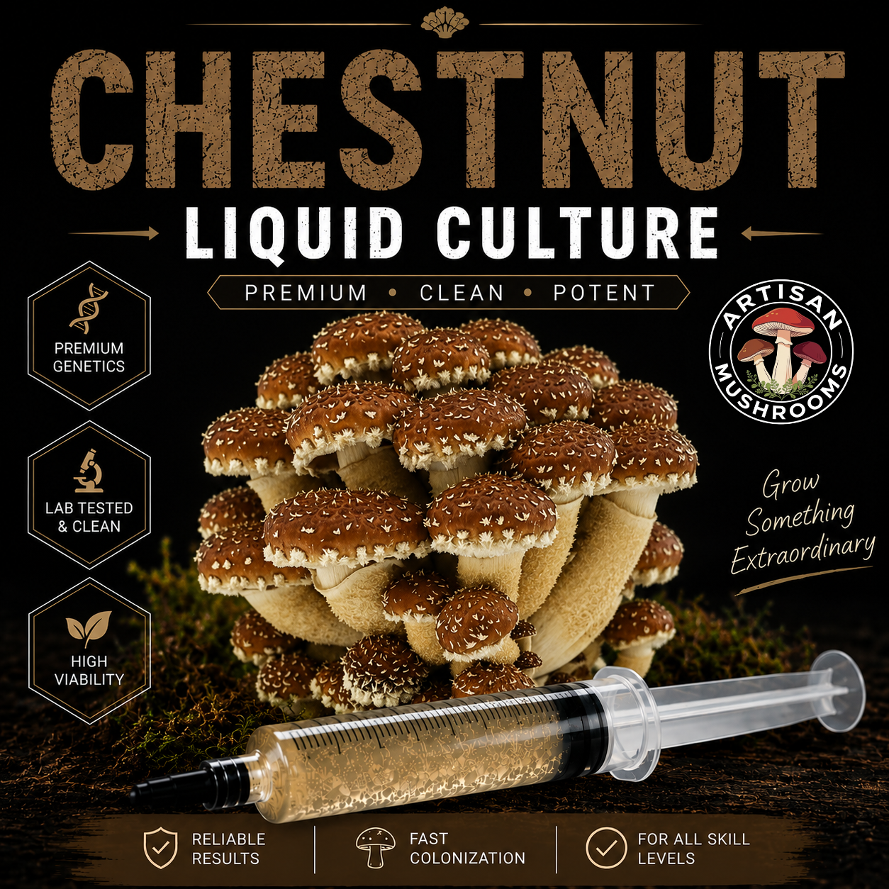 Chestnut