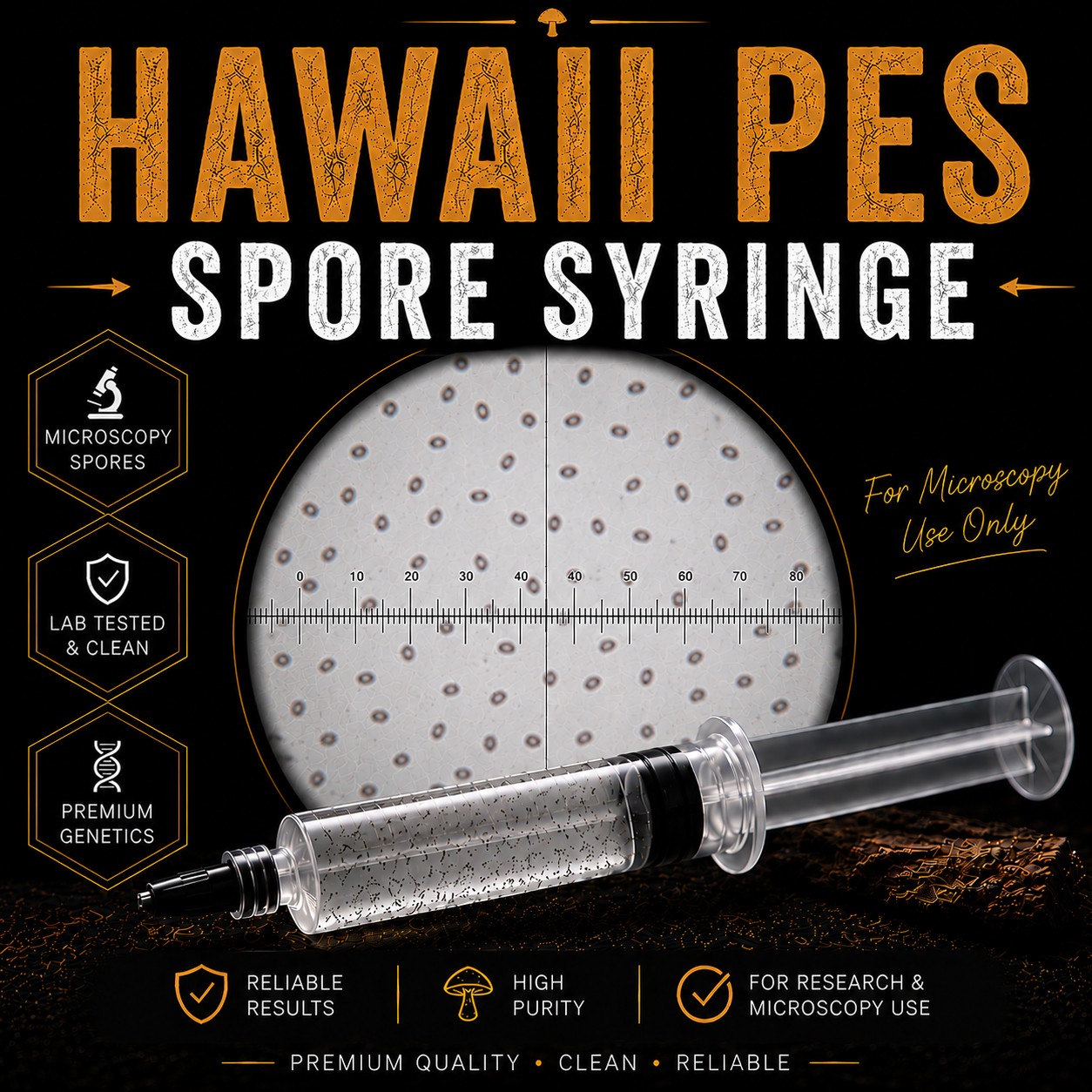 Hawaii PES Cubensis microscopy spore syringe containing sterile spore suspension for microscopy and taxonomy research