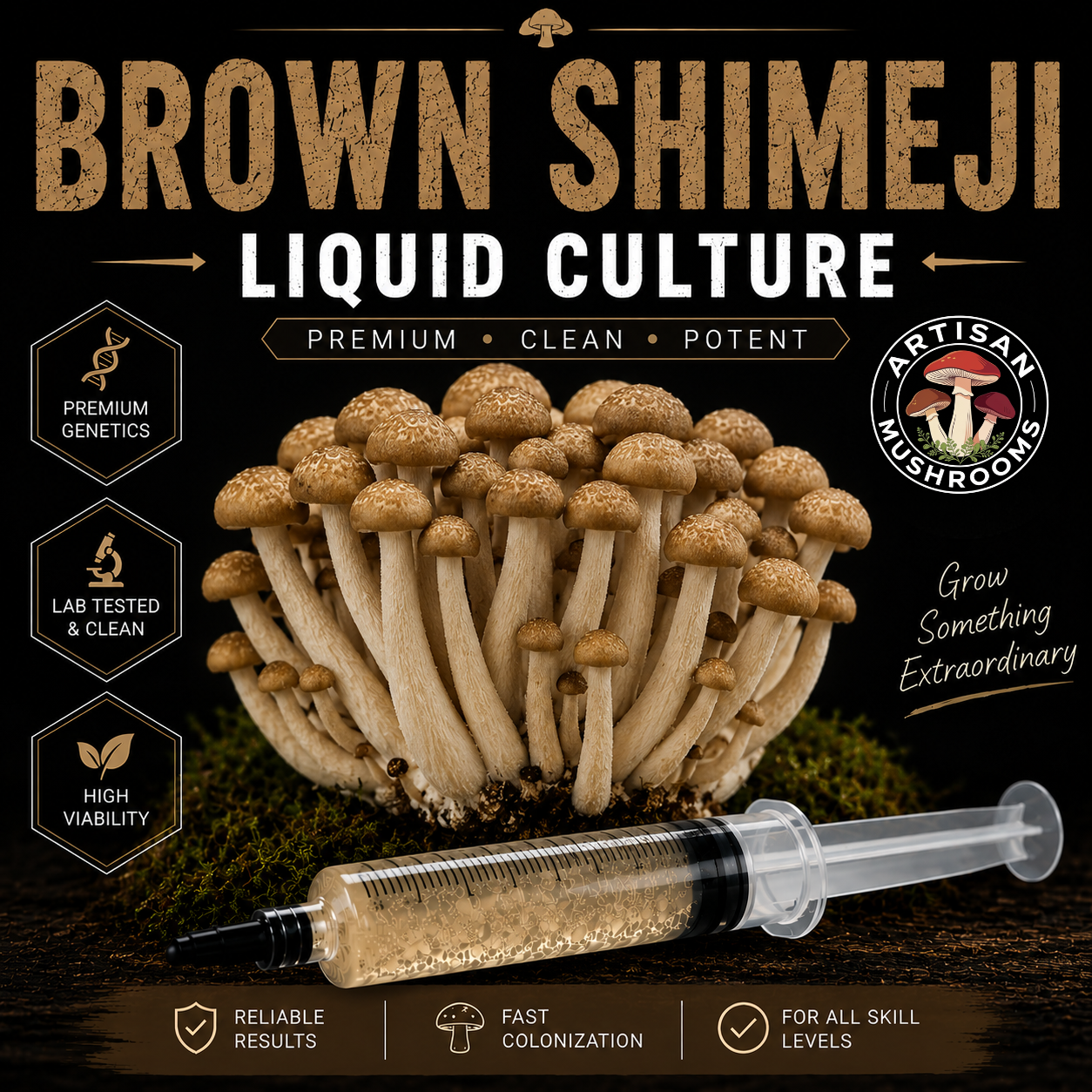 Brown Shimeji