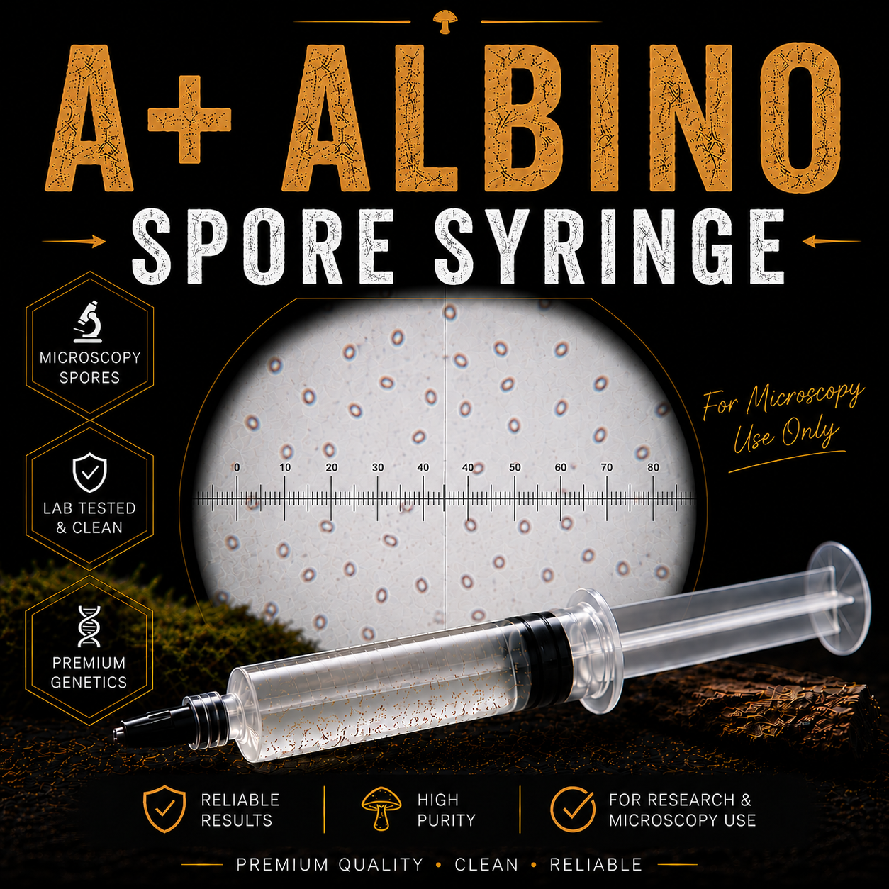 A+ Albino Cubensis microscopy spore syringe containing sterile spore suspension for microscopy and taxonomy research