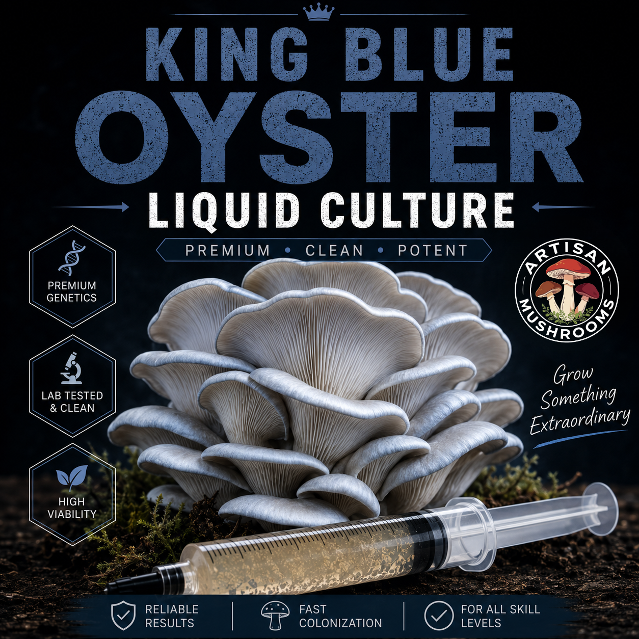 King Blue Oyster