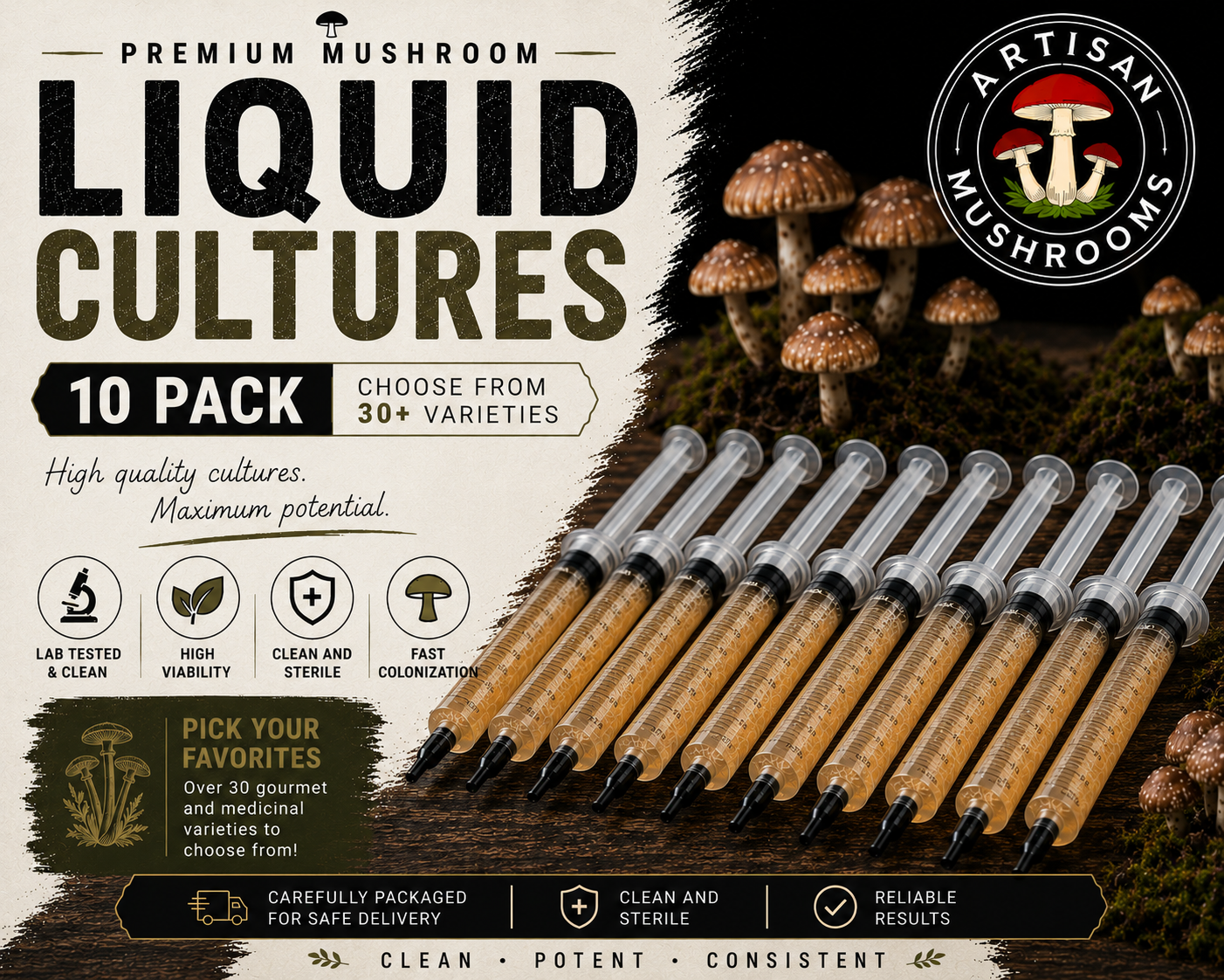 10 Mushroom Liquid Cultures