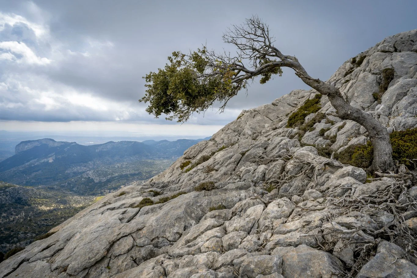 5 Practical Ways to Build Personal Resilience