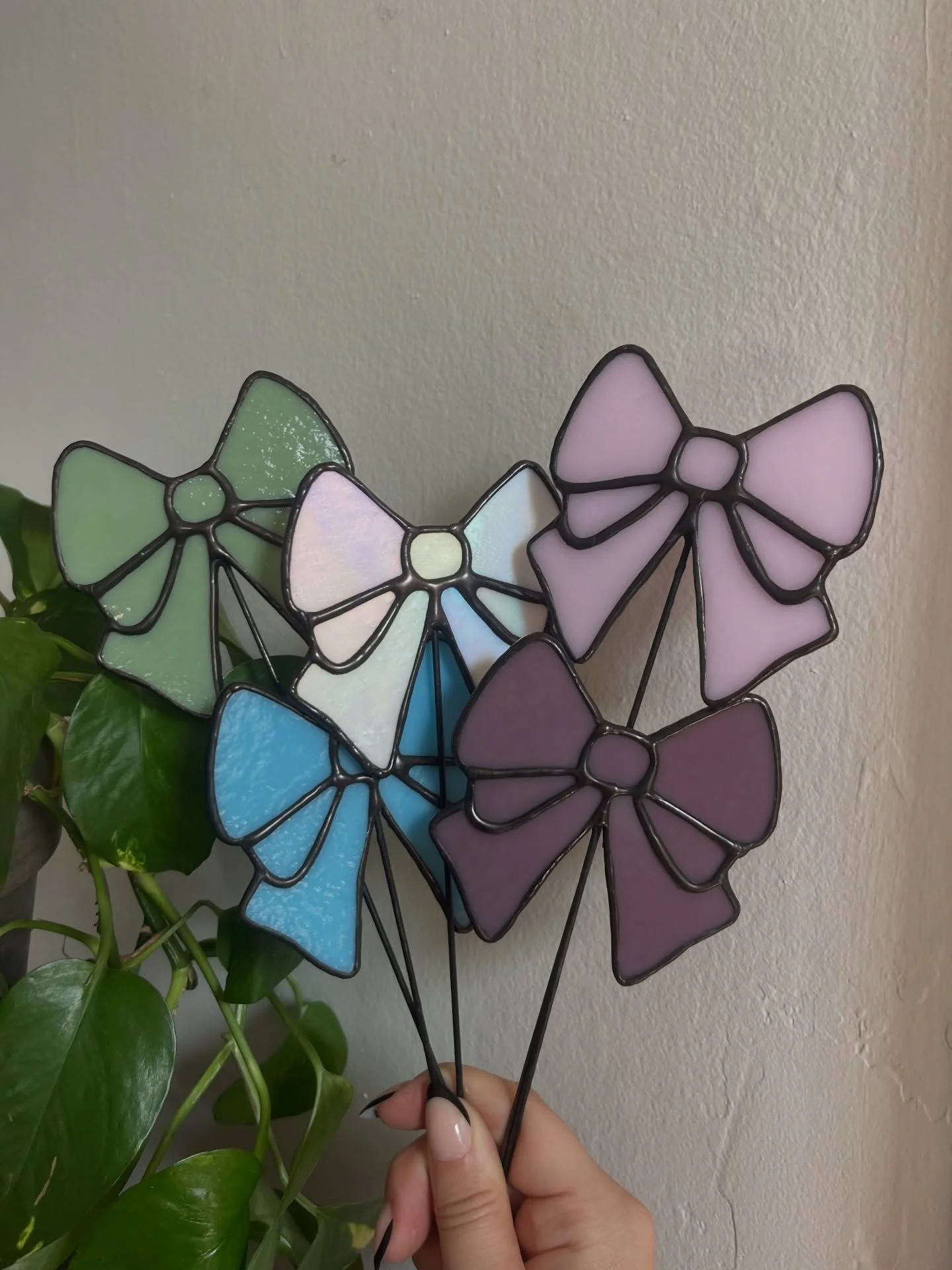 ⋆.𐙚 ̊⋆.𐙚 ̊⋆.𐙚 ̊