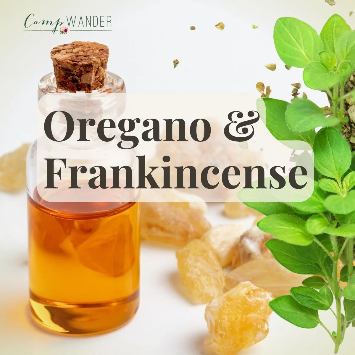Oregano and Frankincense for Magical Skincare