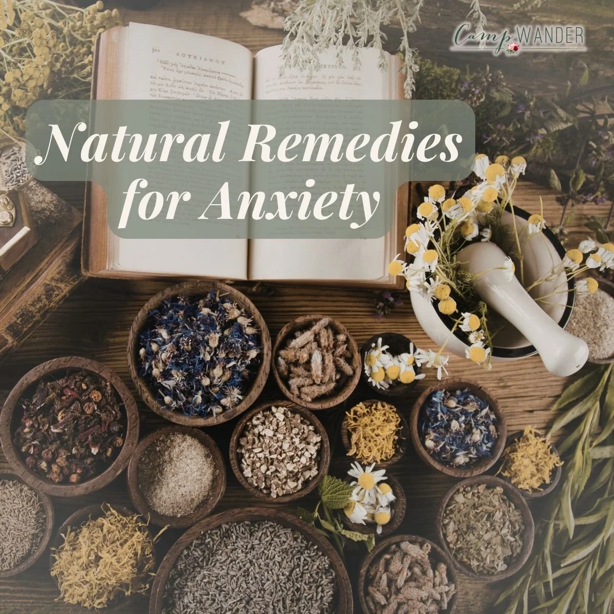 Natural Remedies for Anxiety Using Essential Oils