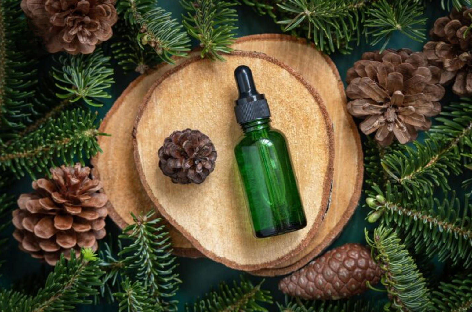 How To Bring A Pine Forest Home