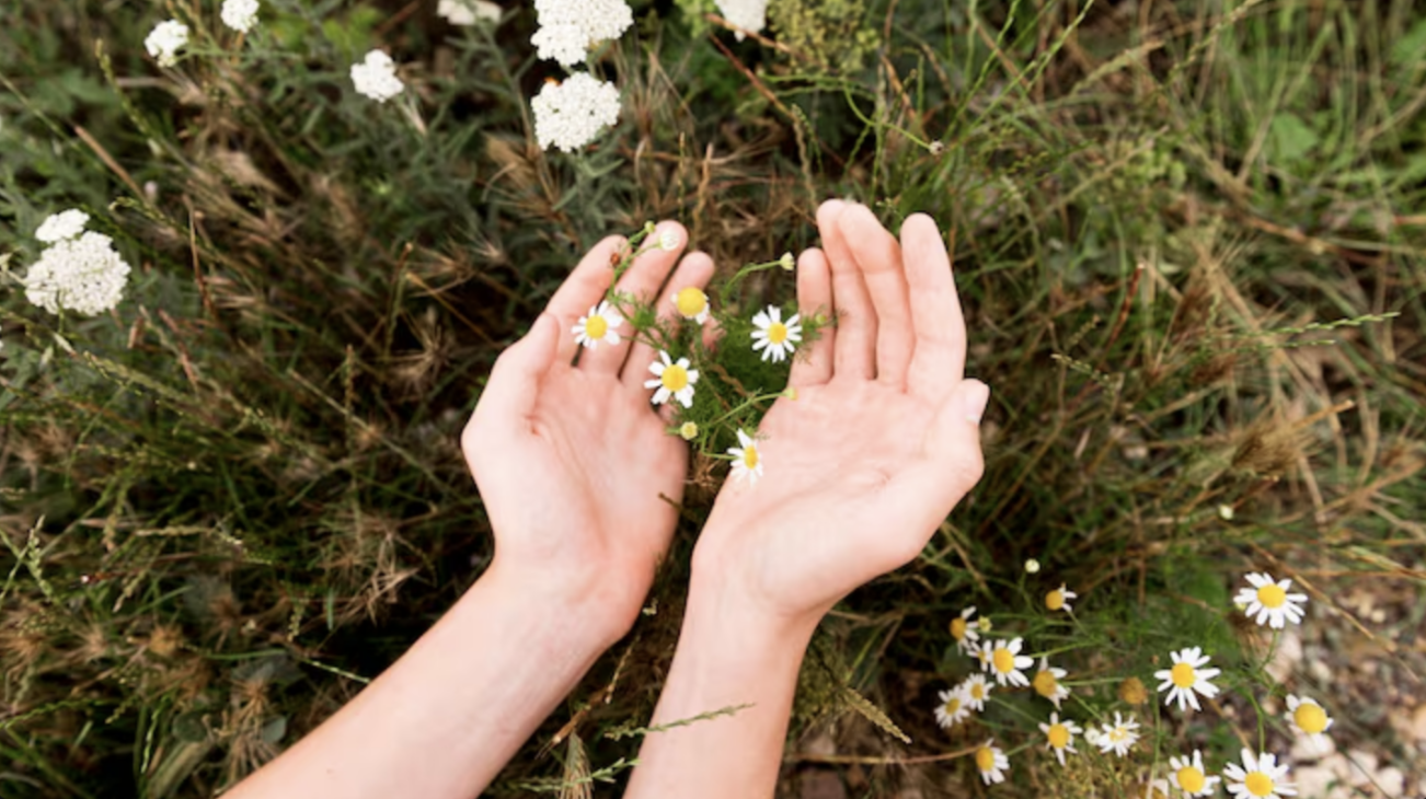 How to Maintain a Healthy Immune System with Nature and Essential Oils