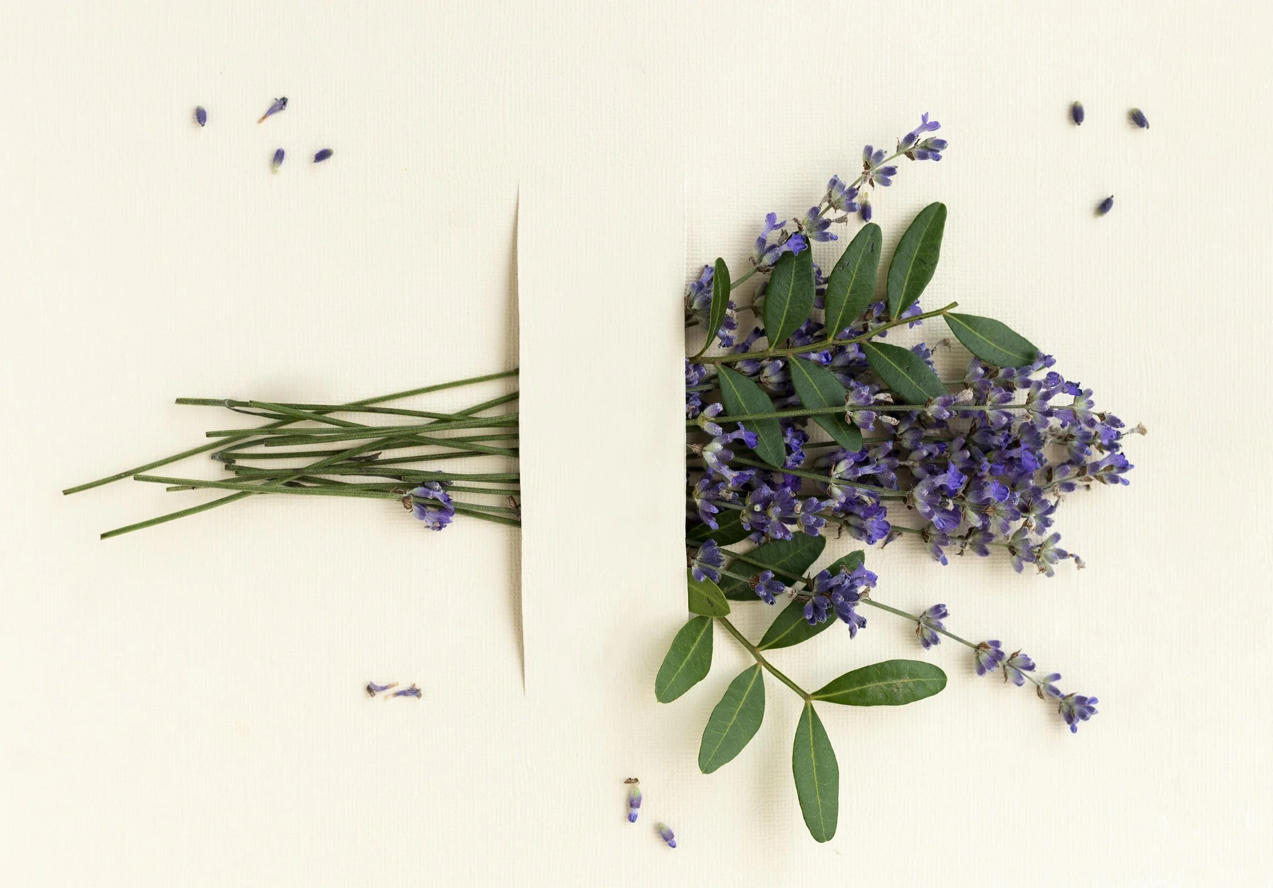 Thicker, Softer Hair with Rosemary, Lavender and Apple Cider Vinegar