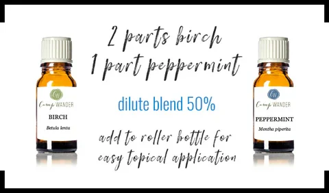 Birch Magic Bullet Pain Relief Blend