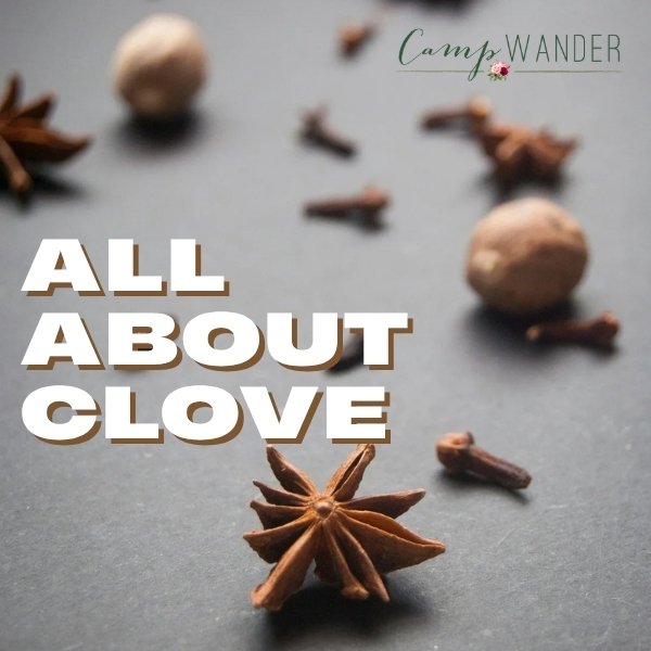 Clove Essential Oil