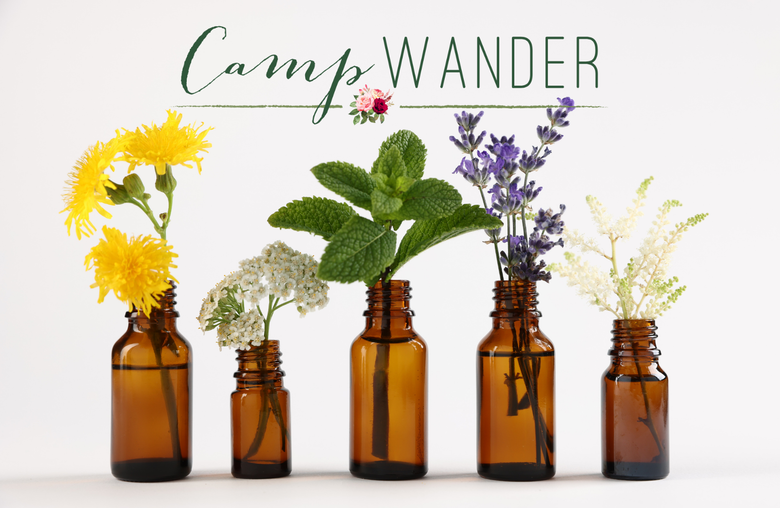 7 Essential Oils for Anxiety and Stress Relief