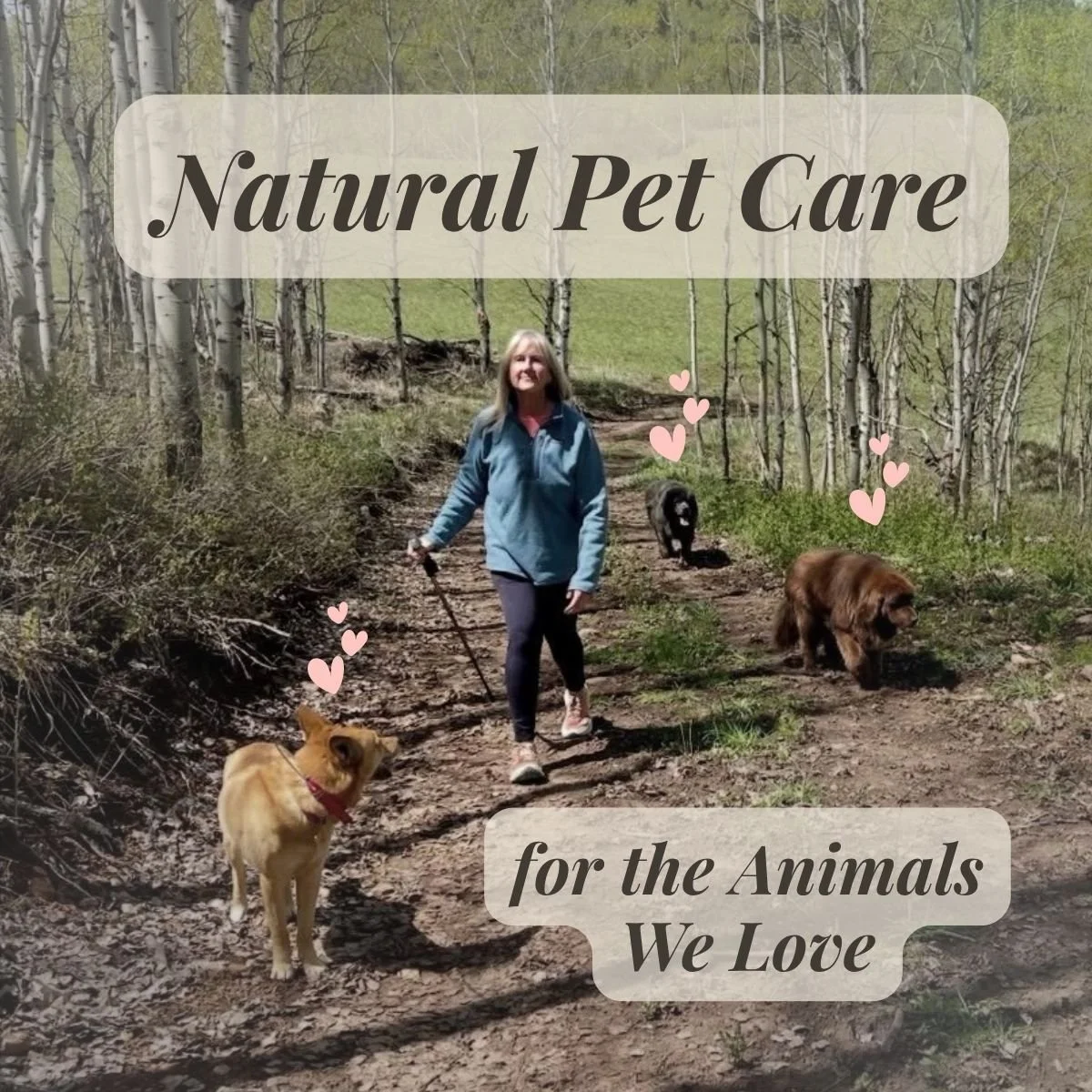 Natural Pet Care for the Animals We Love
