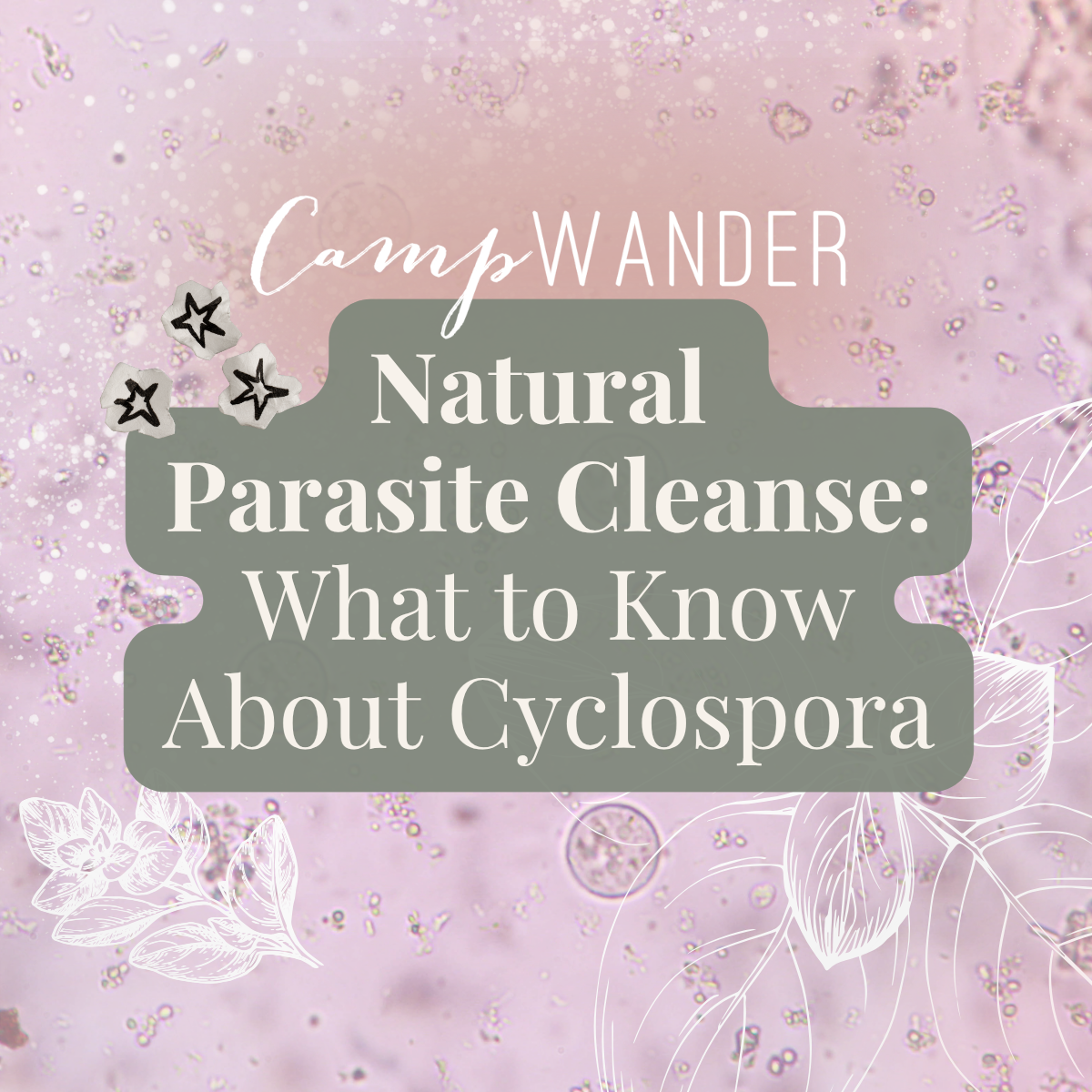 Natural Parasite Cleanse: What to Know About Cyclospora