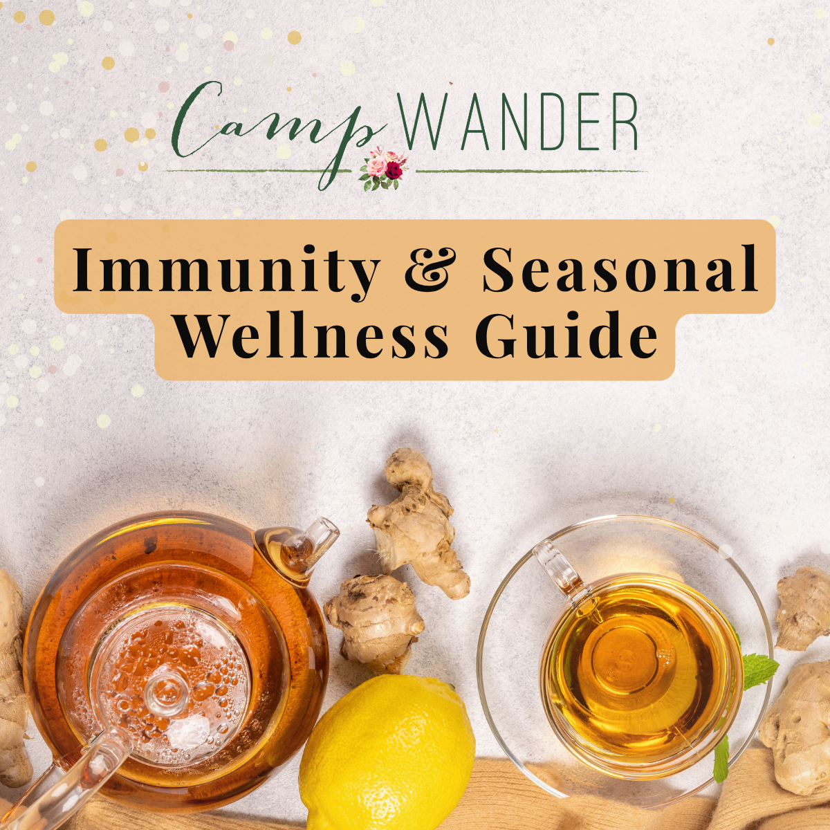 What Do I Reach For? Camp Wander’s Immune &amp; Seasonal Wellness Guide