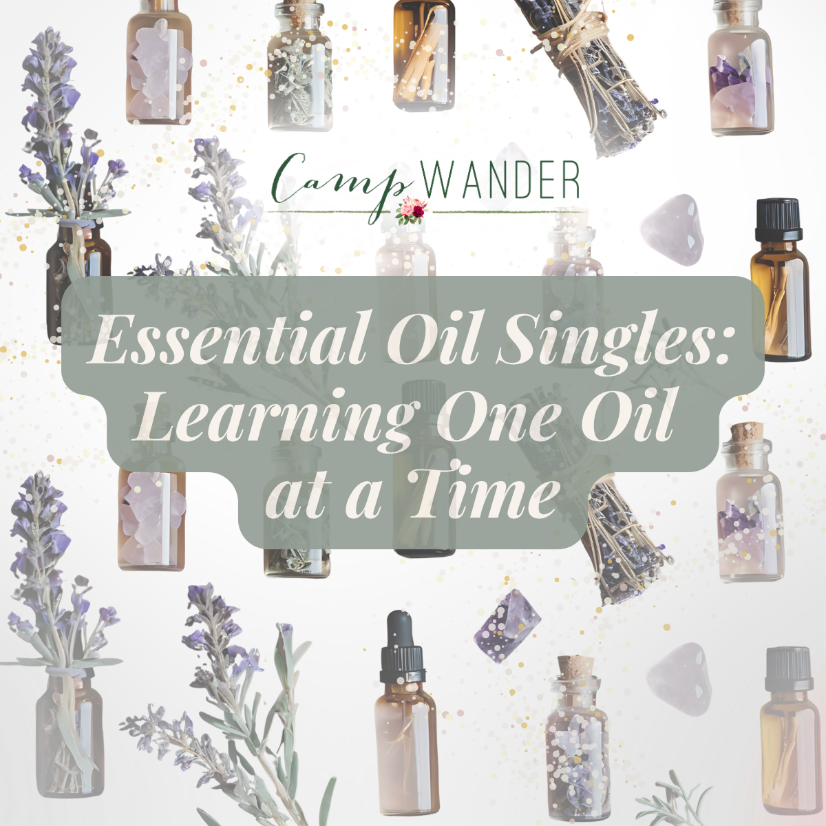 Essential Oil Singles: Learning One Oil at a Time