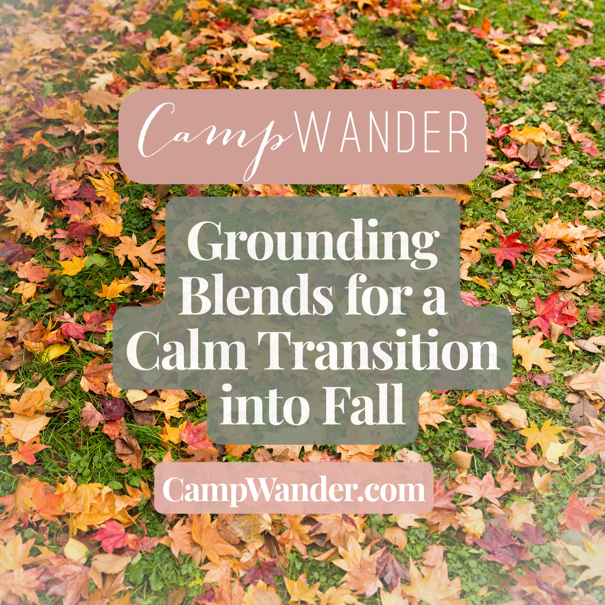 Back to Routine: Grounding Blends for a Calm Transition into Fall