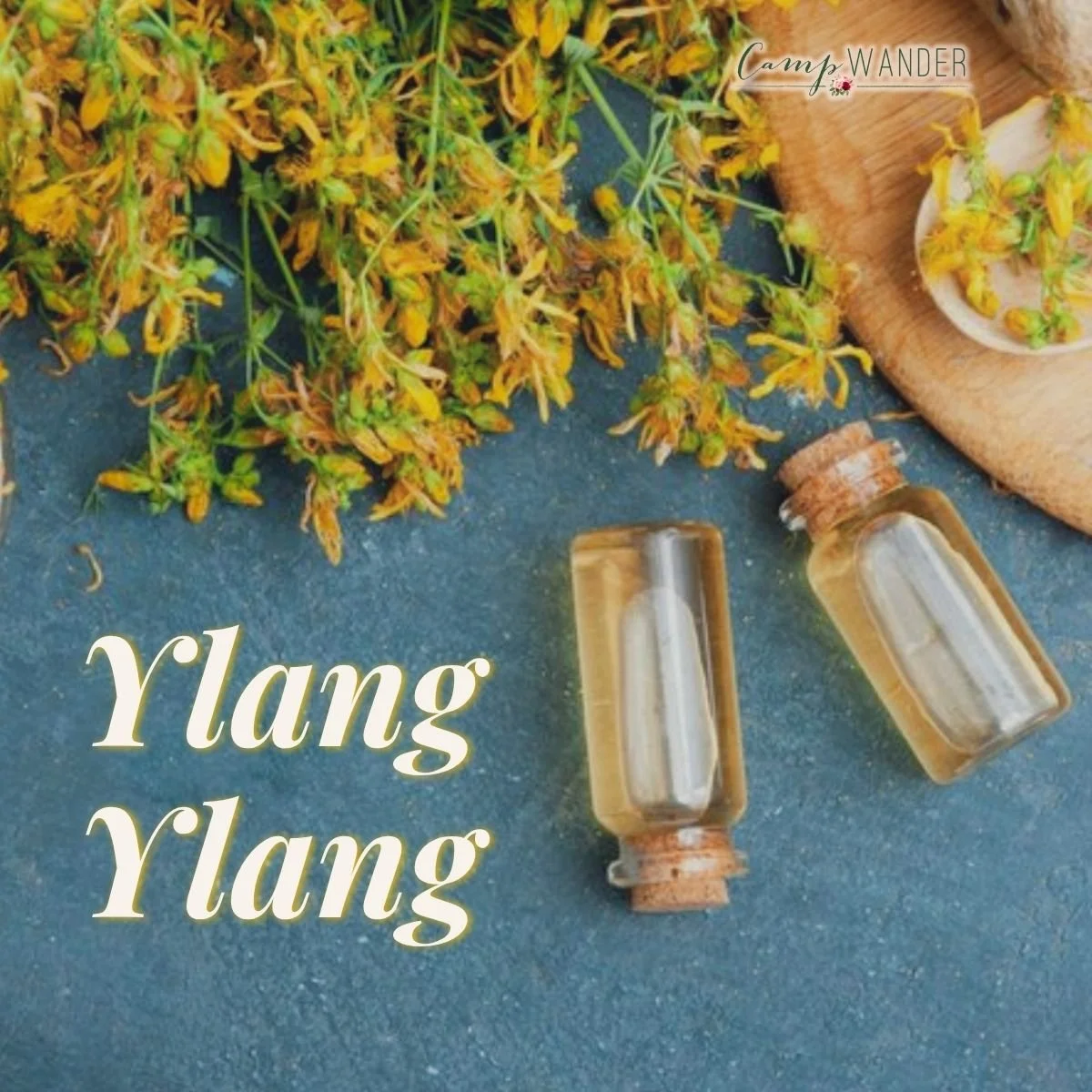 How Ylang Ylang               Supports Your Heart