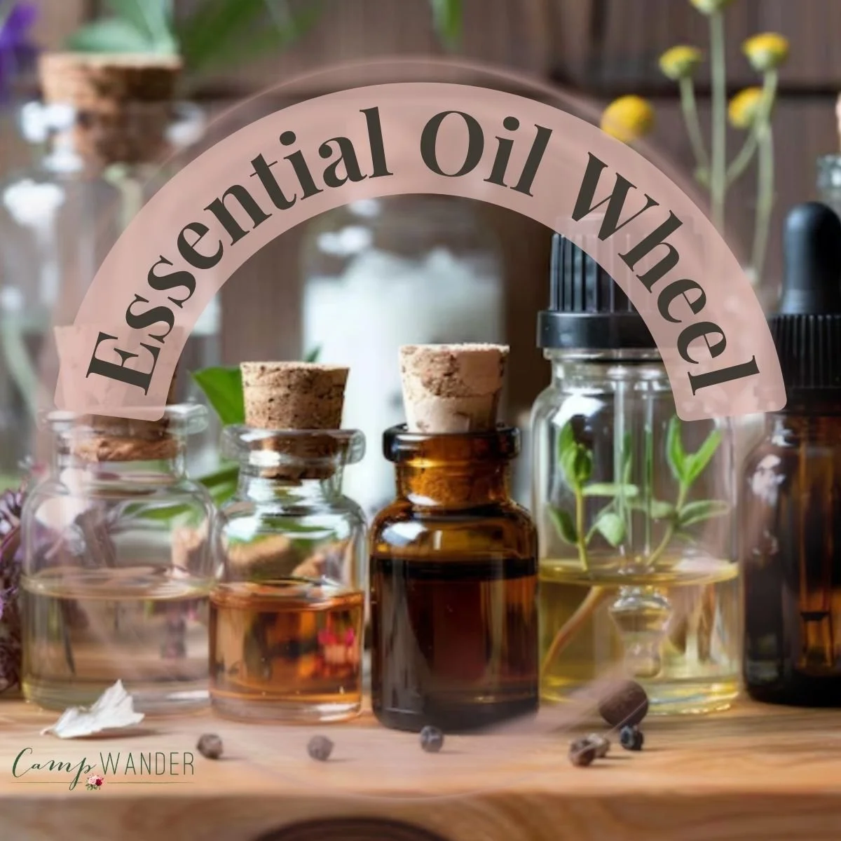 Essential Oil Wheel For Your Reference Library
