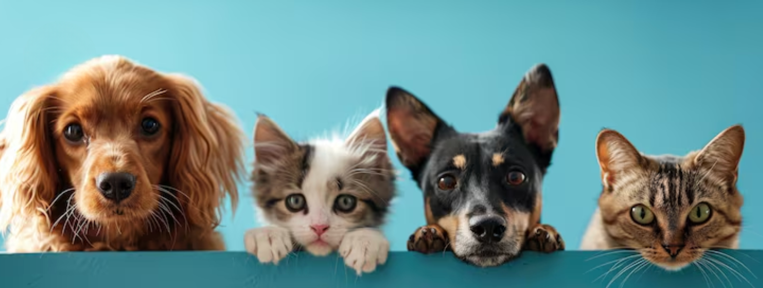 Tick Protocol                                 Safe for Dogs and Cats