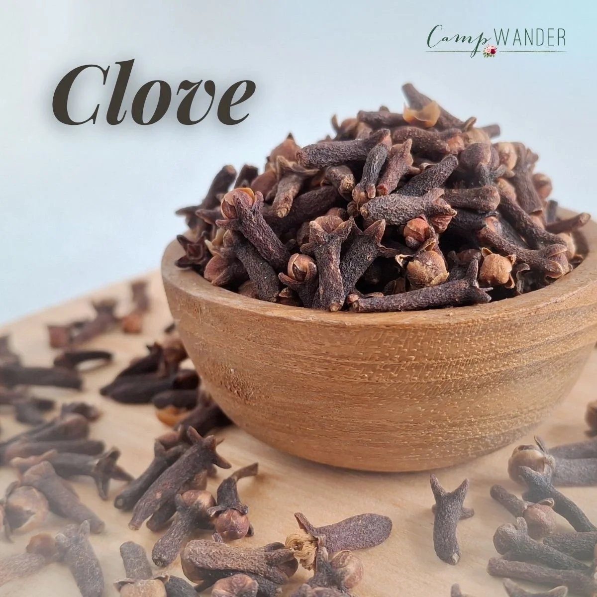 Clove Essential Oil