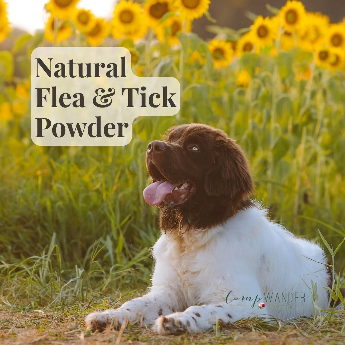 Tick Protocol                                 Safe for Dogs and Cats