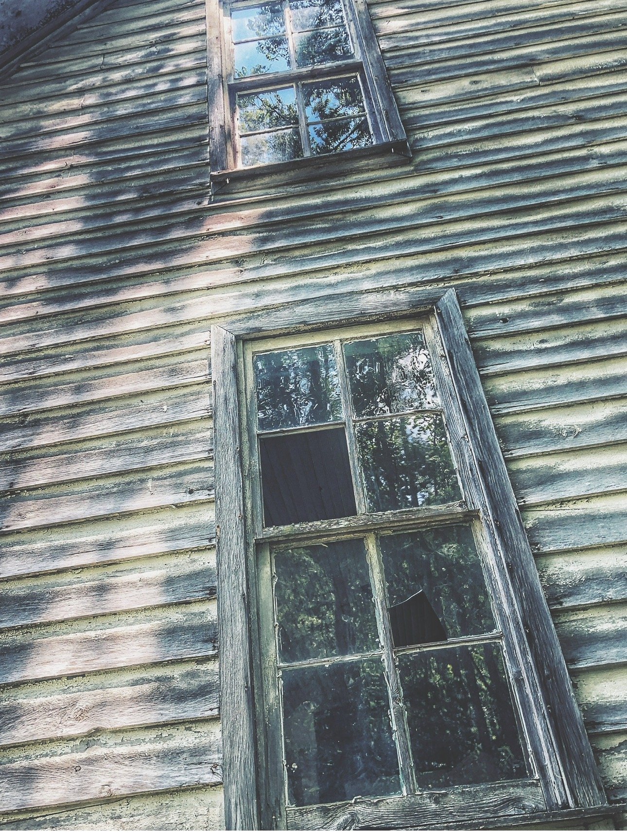 IMG_0249.jpeg