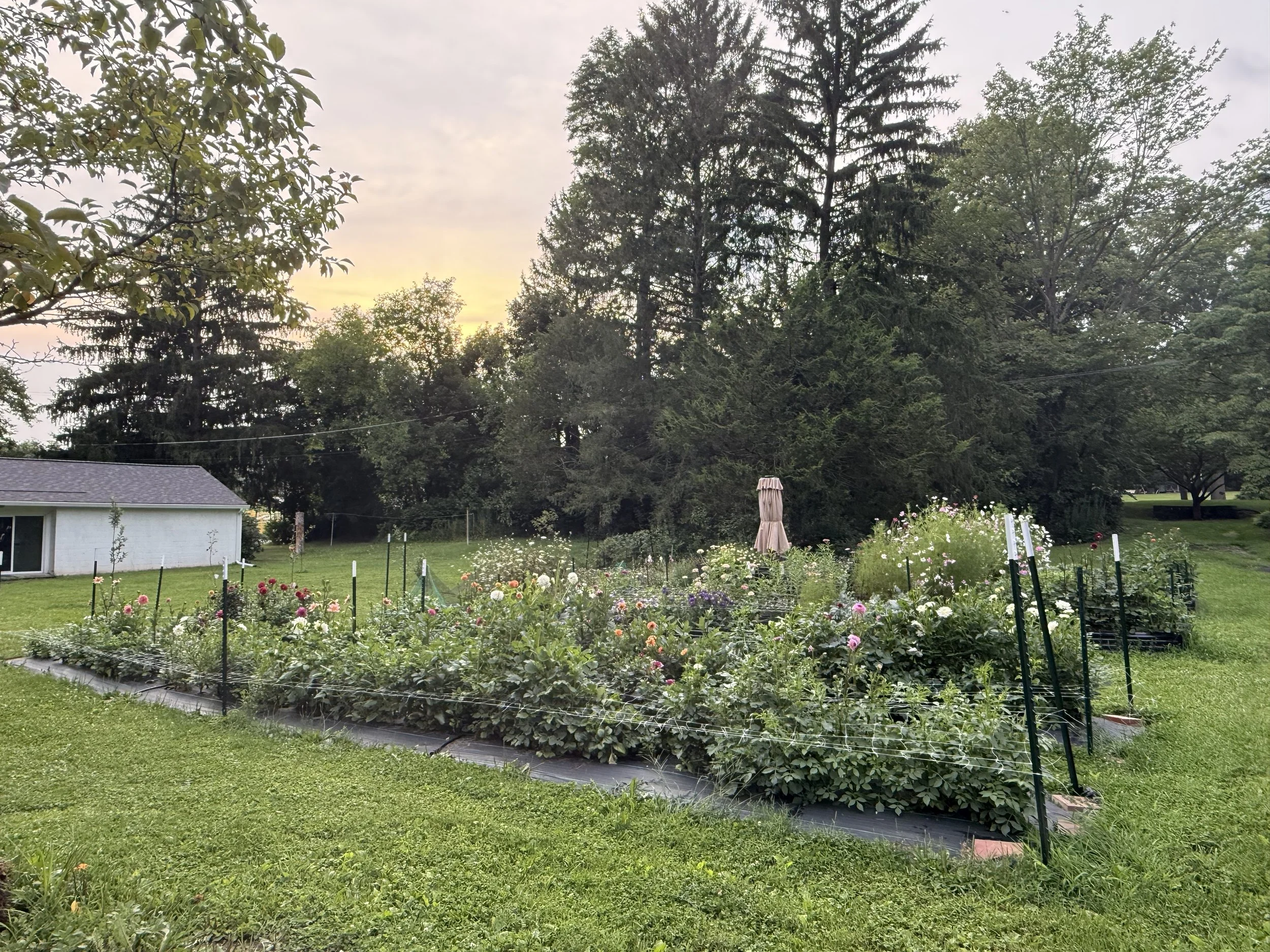 A Garden of Your Own: Private Flower Picking