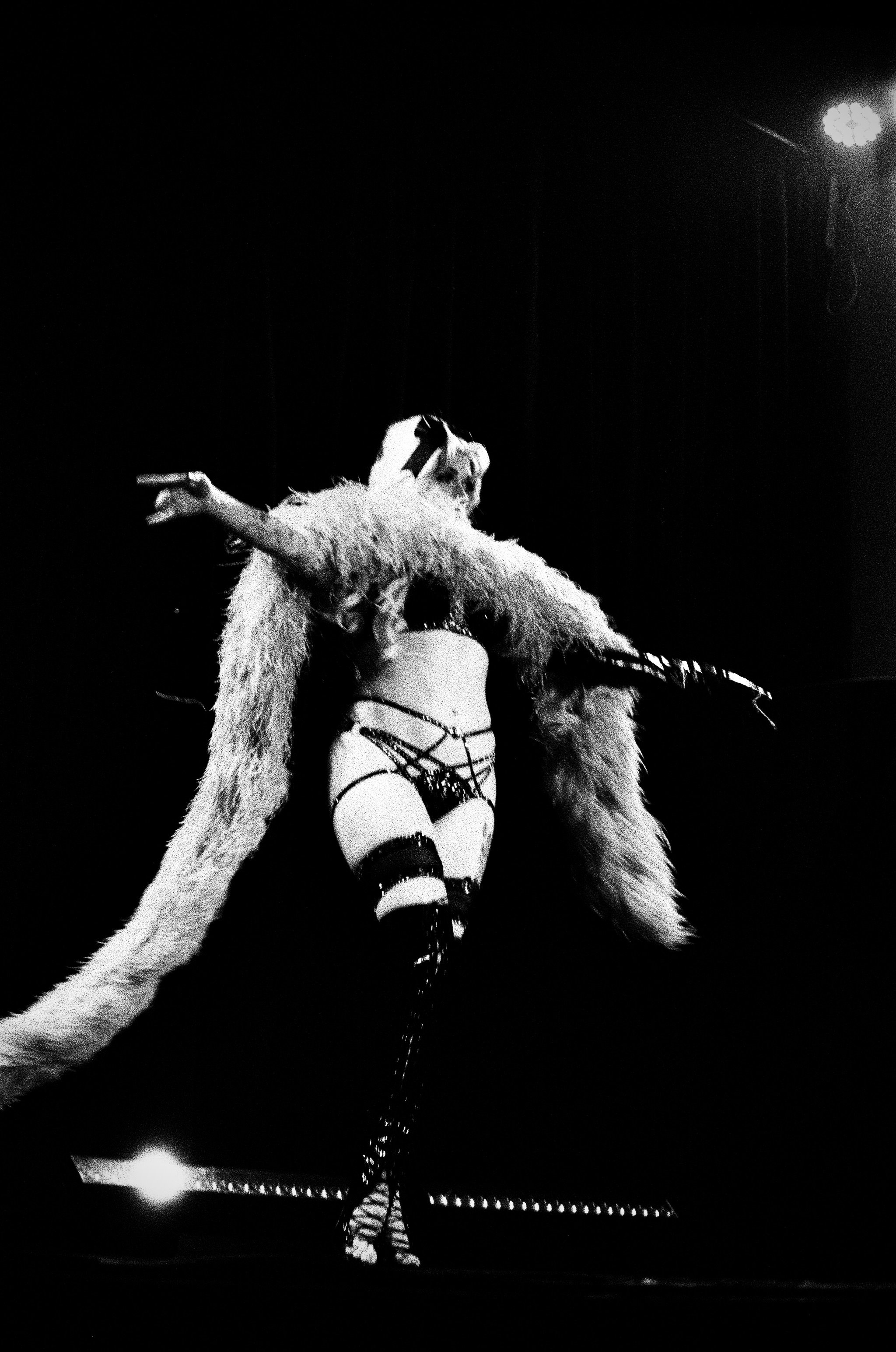 Photo Feb 19 2026, 8 42 27 PM (55).JPG