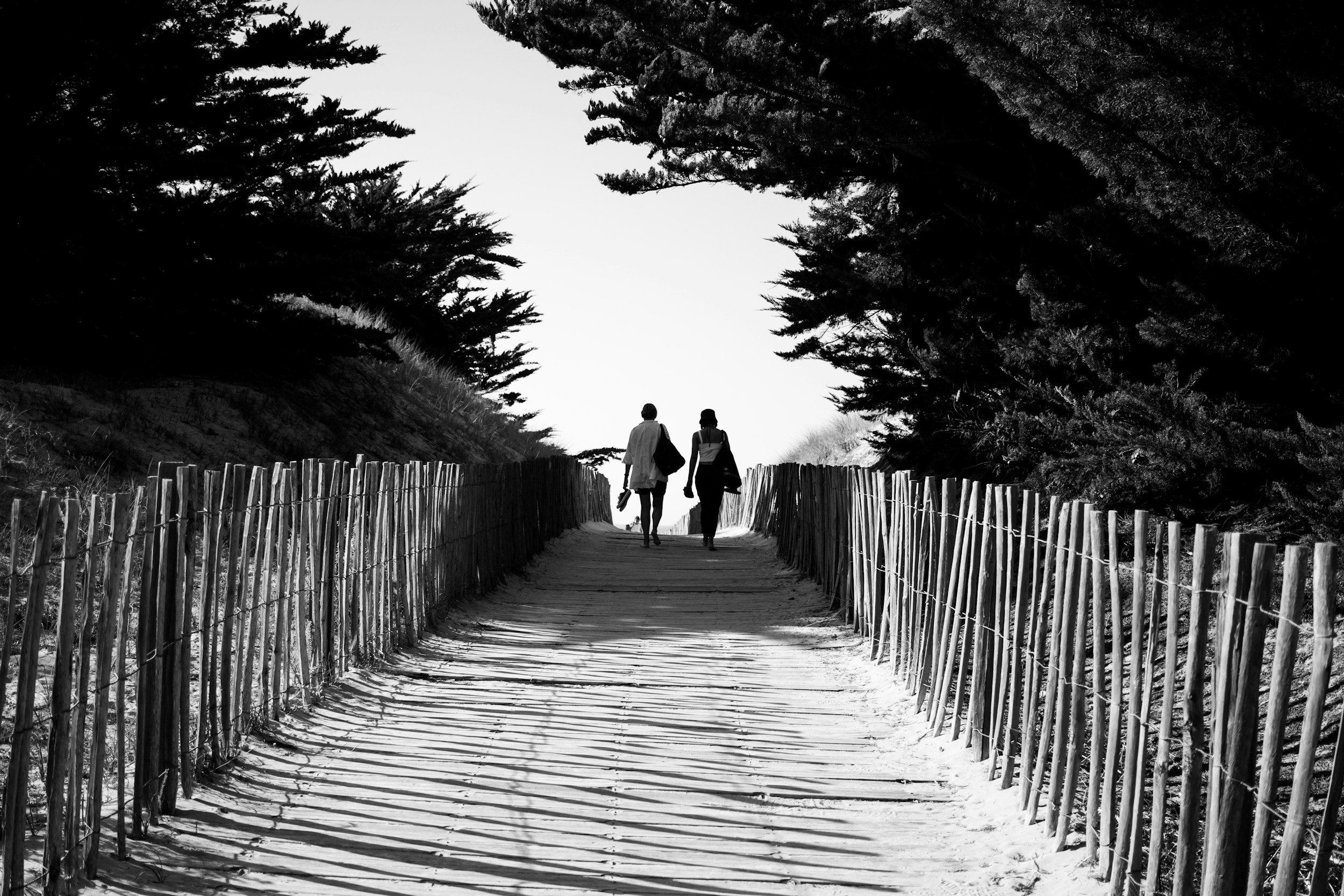 Two people walking along a sandy path lined with wooden fences, surrounded by trees, in black and white.