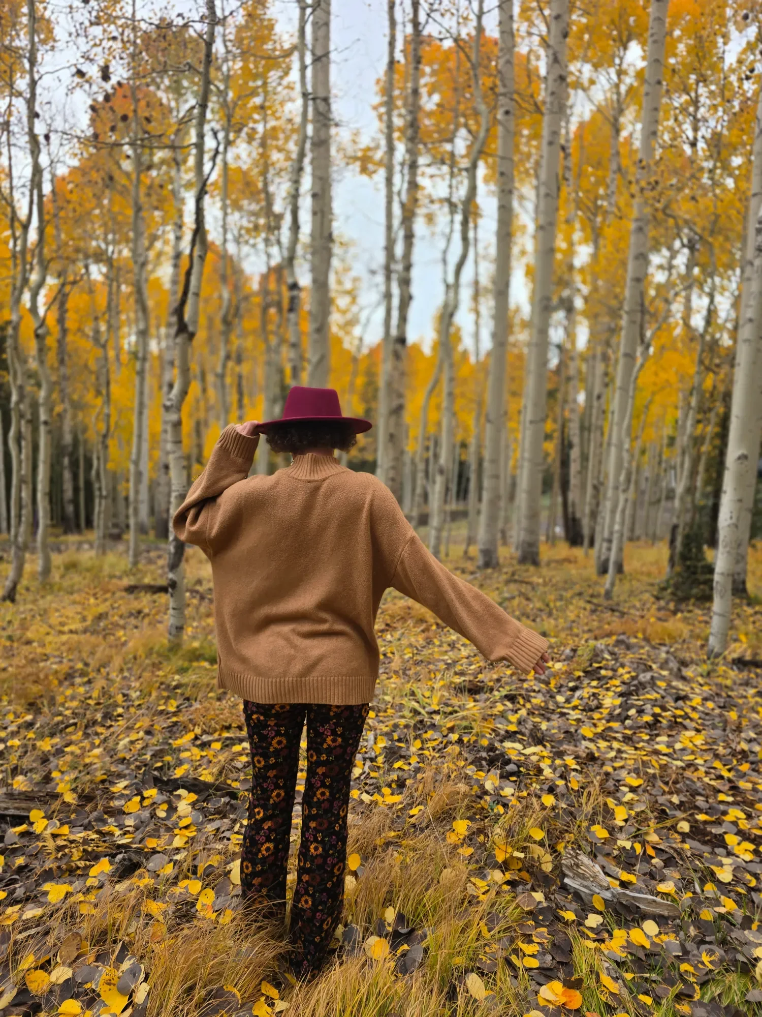 Person walking in a forest of tall white-barked trees with yellow autumn leaves, wearing a wide-brimmed burgundy hat, camel-colored sweater, and dark floral pants.