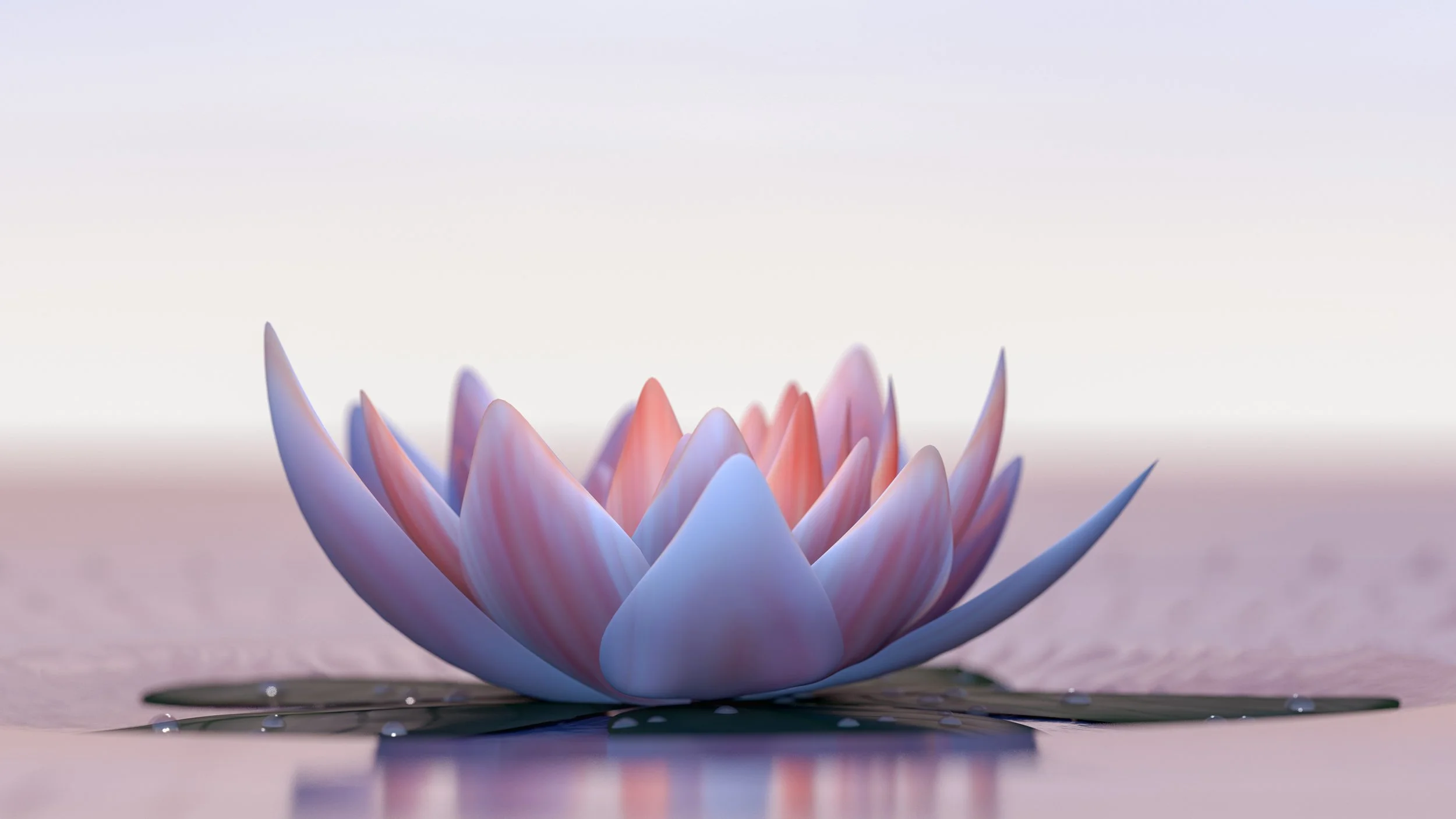 Close-up of a pink and purple lotus flower floating on water, with its reflection visible.