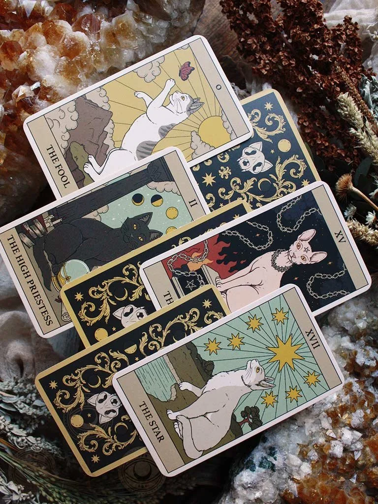 A spread of tarot cards featuring illustrations of cats, including 'The Fool,' 'The High Priestess,' 'The Star,' and other cards with intricate designs and symbols, placed on a textured surface with decorative elements.